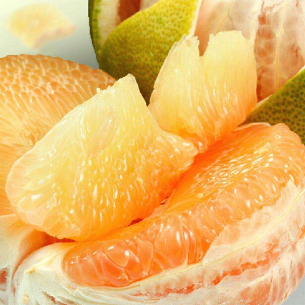 梅州梅县注册金柚商标36件