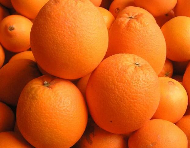 南充“高坪甜橙”被核准注册为国家地理标志证明商标