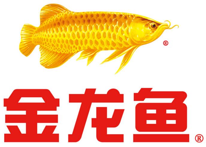 金龙鱼商标是哪一类商标？