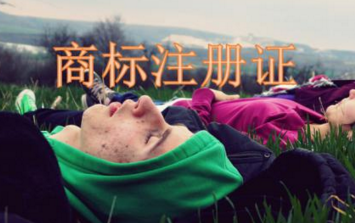 商标究竟有多重要?入驻天猫双十一时你就会知道……