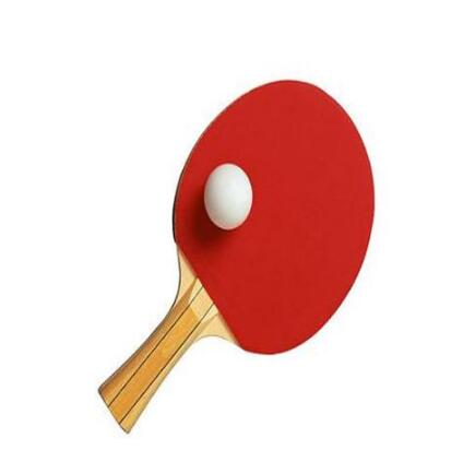 乒乓球拍商标注册属于第几类？