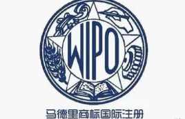 “直通马德里”商标注册窗口开到义乌