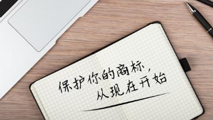 且看网络热词和商标申请的“相爱相杀”