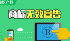 全国无效宣告请求案件「申请人」排行榜（TOP100）