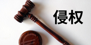 “碧潭飘雪”商标遭侵权 被罚超10万元