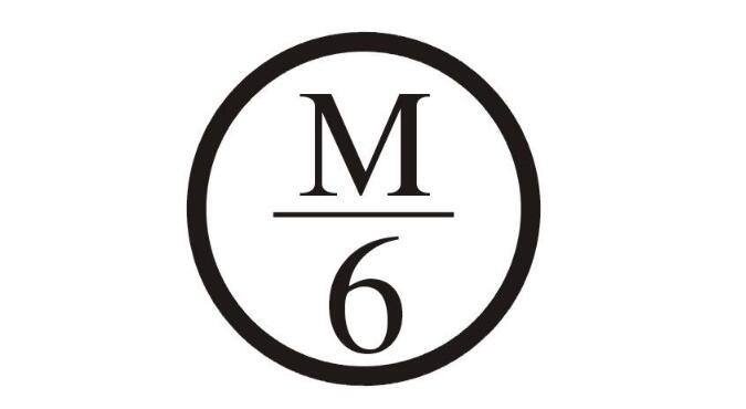 M6，第42类商标转让详情简介