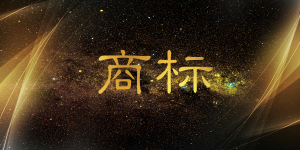 商标侵权如何在先抗辩举证?
