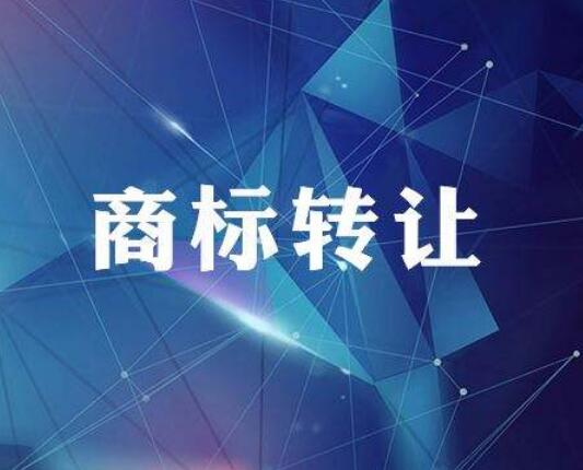 学会这招，商标交易不怕被忽悠