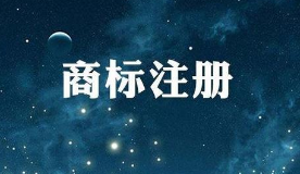 2019年上半年1-6月「专利、商标、地理标志」等统计数据