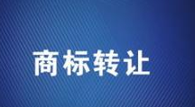 个人商标转让给公司有什么注意事项