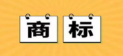 绿森林硅藻泥打假又有了新进展：云峰绿森林商标被裁无效