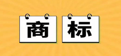 彪马对耐克的商标申请提出异议