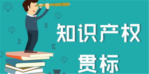 贯标奖励30000元，安徽省颍东区知识产权奖励政策！