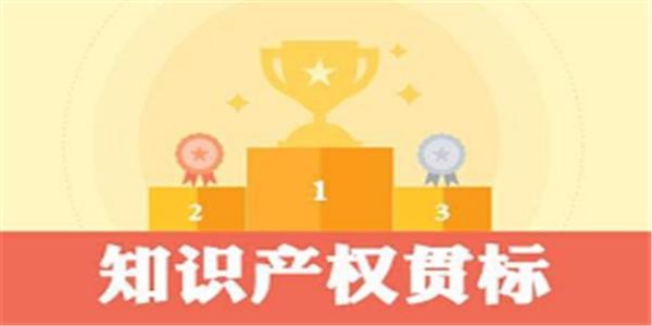 福建省莆田市知识产权贯标奖励政策