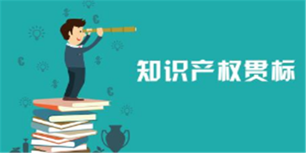 福建省福州市知识产权贯标奖励政策汇总