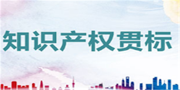 贯标奖励5万元，漳州市东山县知识产权奖励政策！