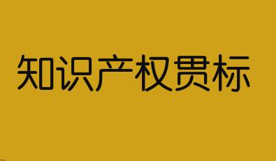 云南省保山市专利资助、知识产权优势