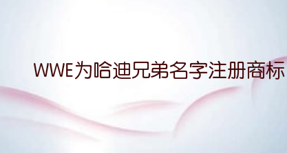 杰夫哈迪与里德尔正式组合!WWE为哈迪兄弟名字注册商标!