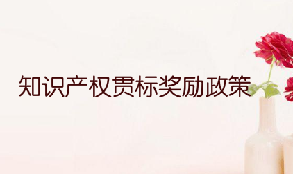 岳阳经开区知识产权贯标奖励政策，贯标奖励100000元！