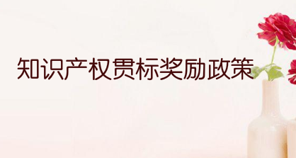 2021年瑞安市知识产权贯标最高奖励5万元，专精特新小巨人企业奖励100万元