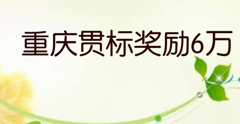 重庆两江新区：专利资助4万，贯标奖励6万，地理标志奖励50万