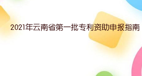 2021年云南省第一批专利资助申报指南