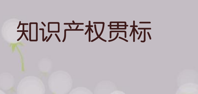 福建省龙岩市知识产权贯标奖励政策