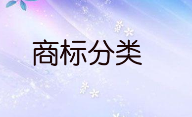 配镜服务属于国际商标分类的第几类注册商标？