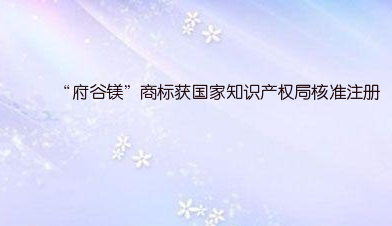 蔚来注册“ADAM超算平台”相关商标 涉及科学仪器等
