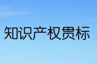 阜阳市颍东区知识产权优势/示范企业、知识产权贯标资助政策