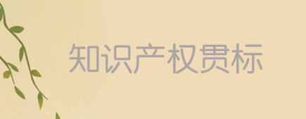 佛山市高明区：海外专利维权资助20万元，贯标奖励3万元