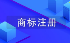 公司已申请注册老师好我叫何同学商标
