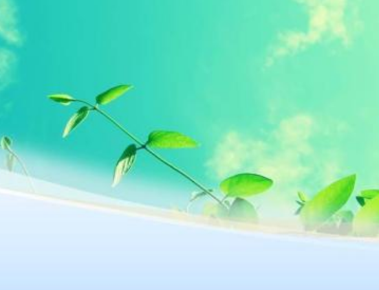 2021年7月26日被肇庆68家商行盗用，端州法院 迅速为原告讨回公道